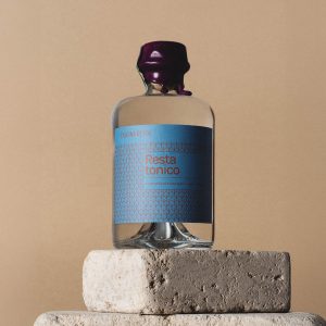 Unconventional blueberry gin 50 cl 45%
